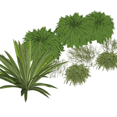  灌木 绿植 草垛su模型 