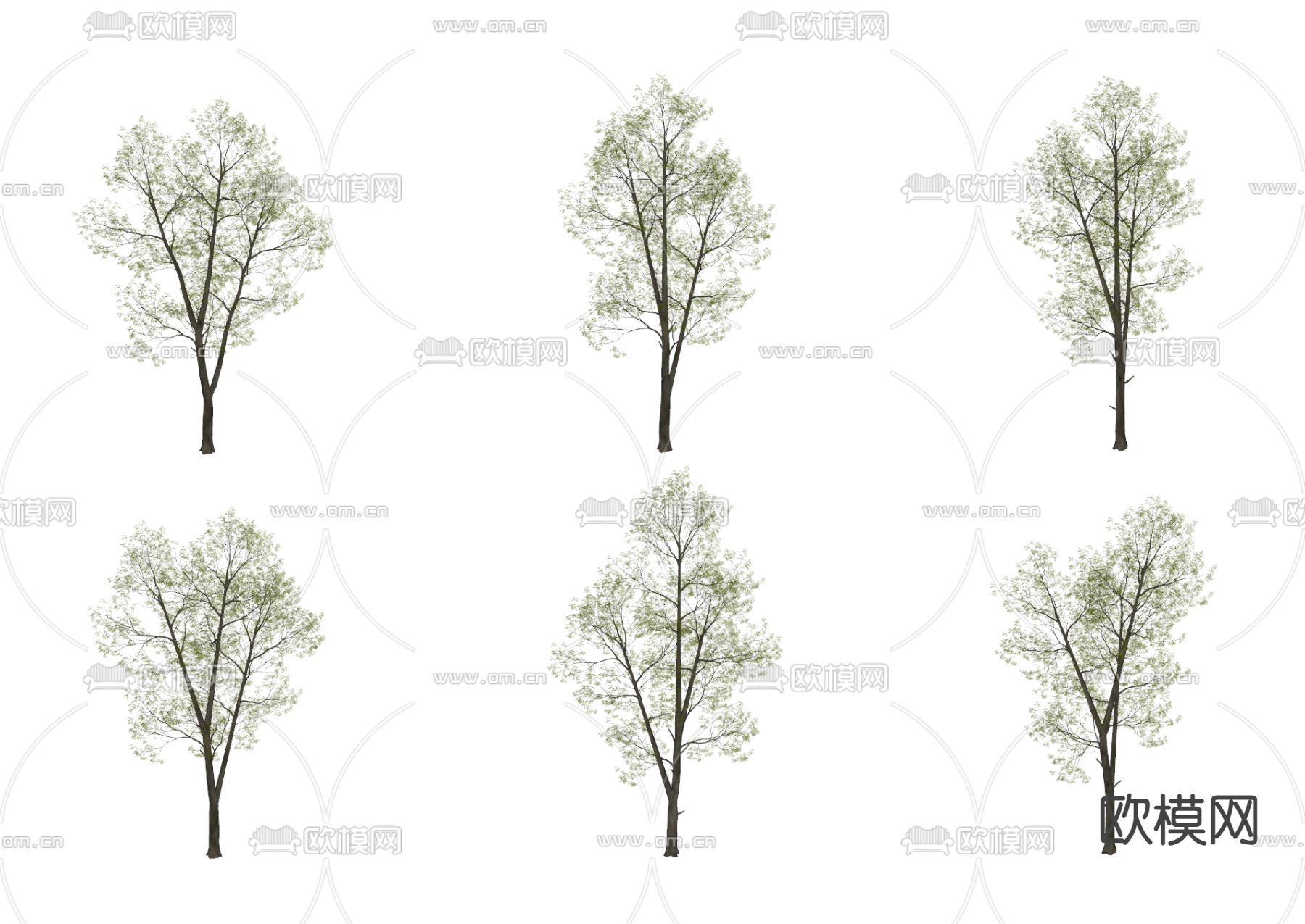 景观树 树木su模型下载（渲染图1）