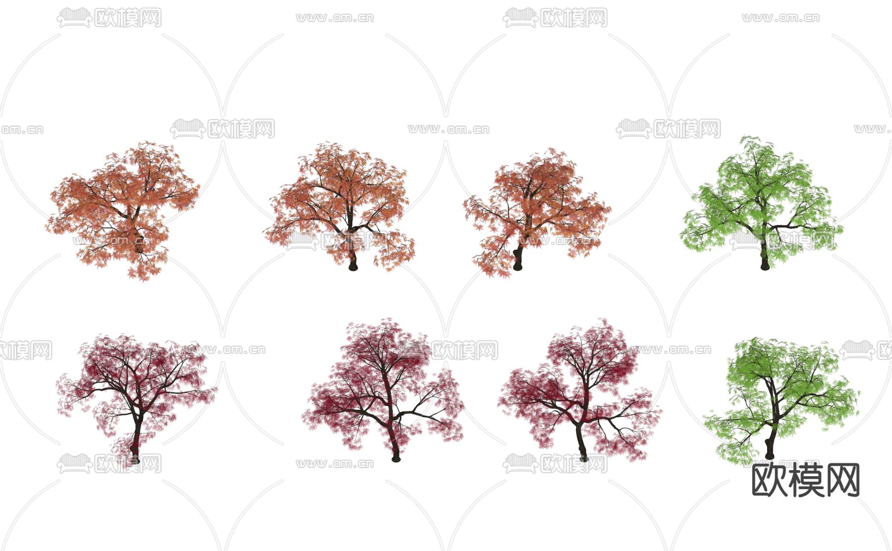 鸡爪槭 景观树 树木su模型下载（渲染图1）