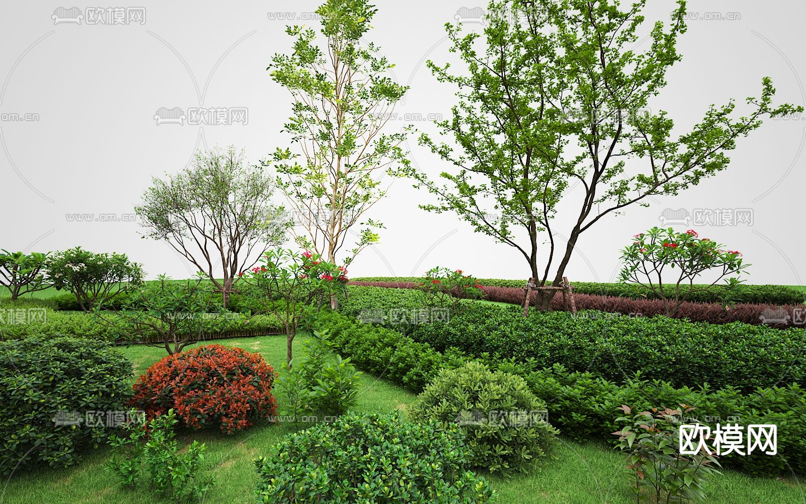 造型灌木 修建灌木 灌木丛 绿篱3d模型下载