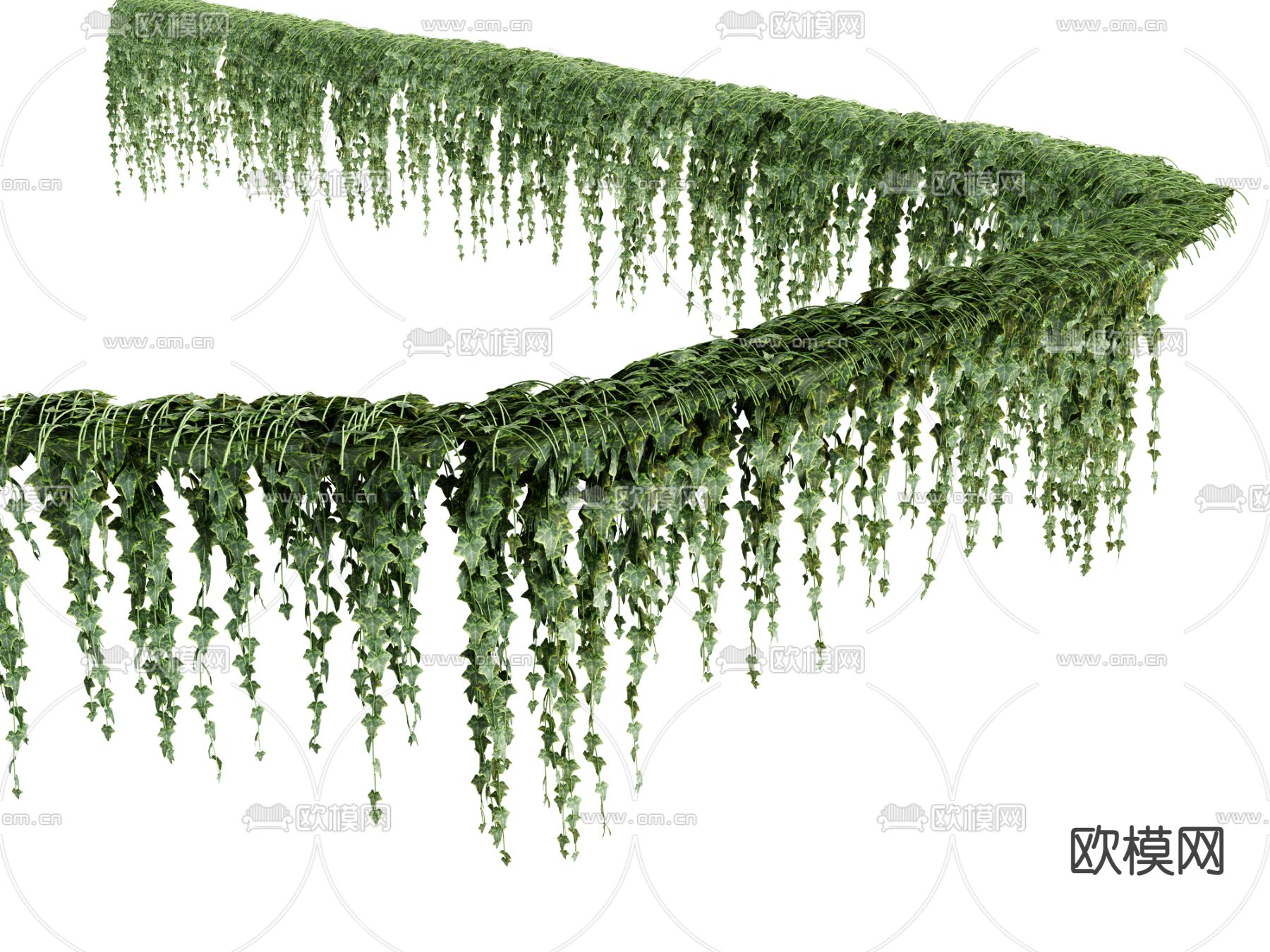 植物绿植 吊篮 吊挂植物su模型下载（渲染图2）