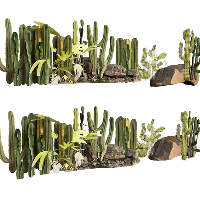 植物绿植 仙人掌su模型 