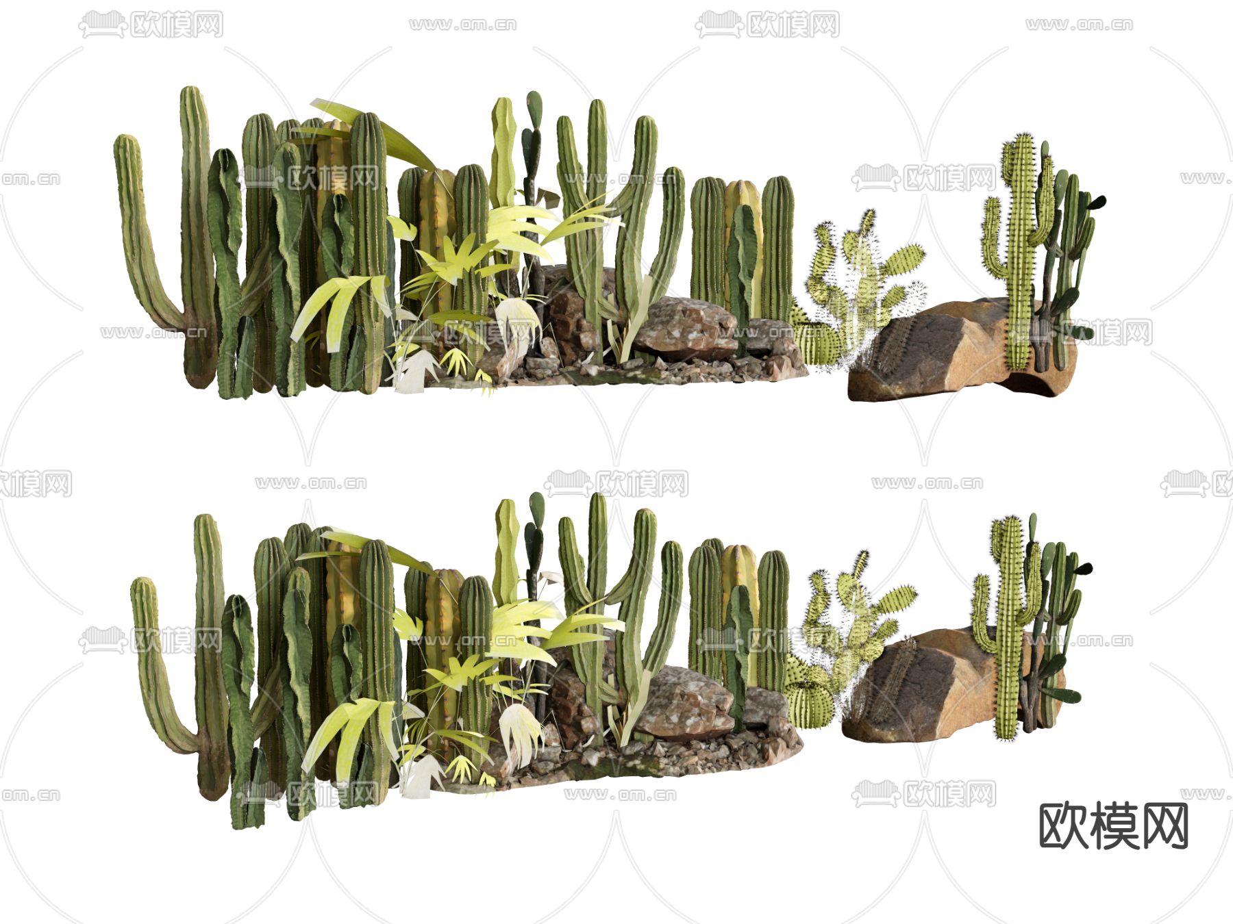 植物绿植 仙人掌su模型下载（渲染图2）