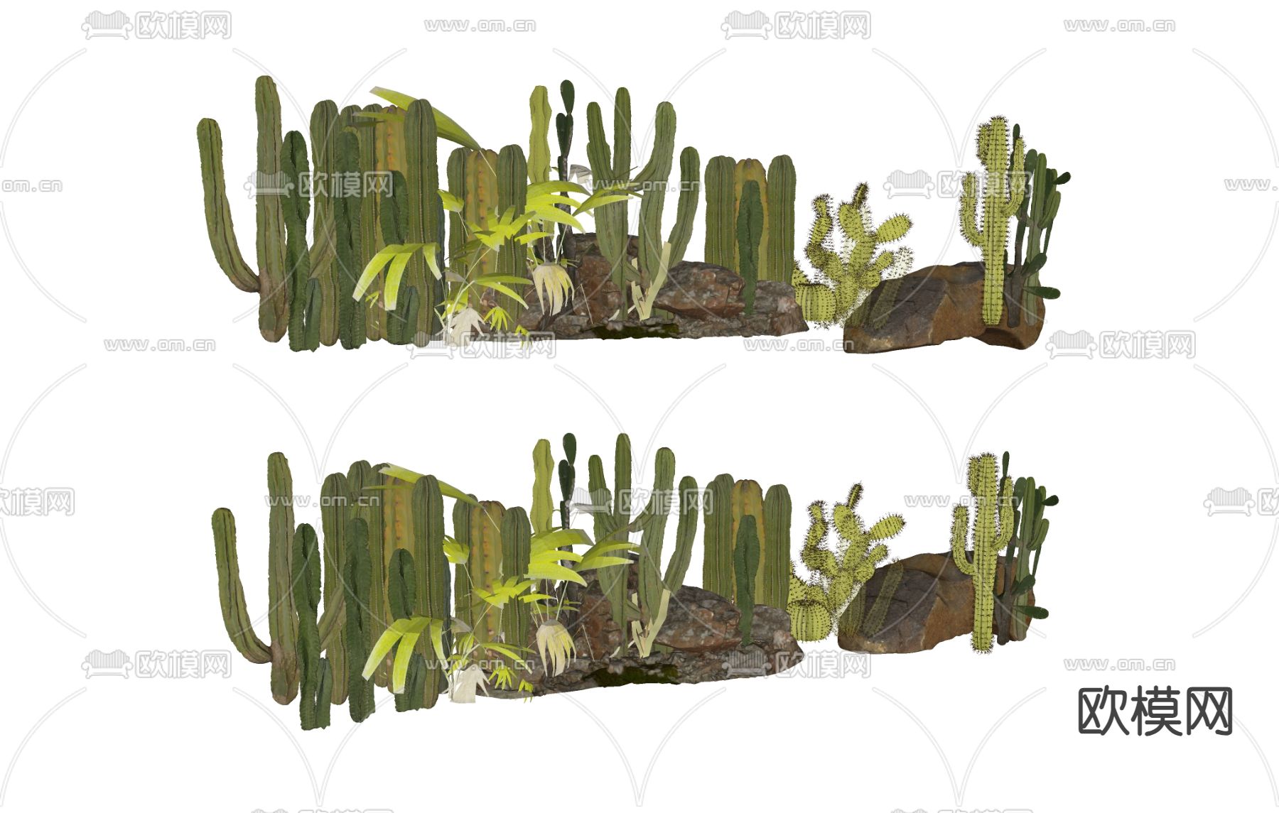 植物绿植 仙人掌su模型下载（渲染图1）