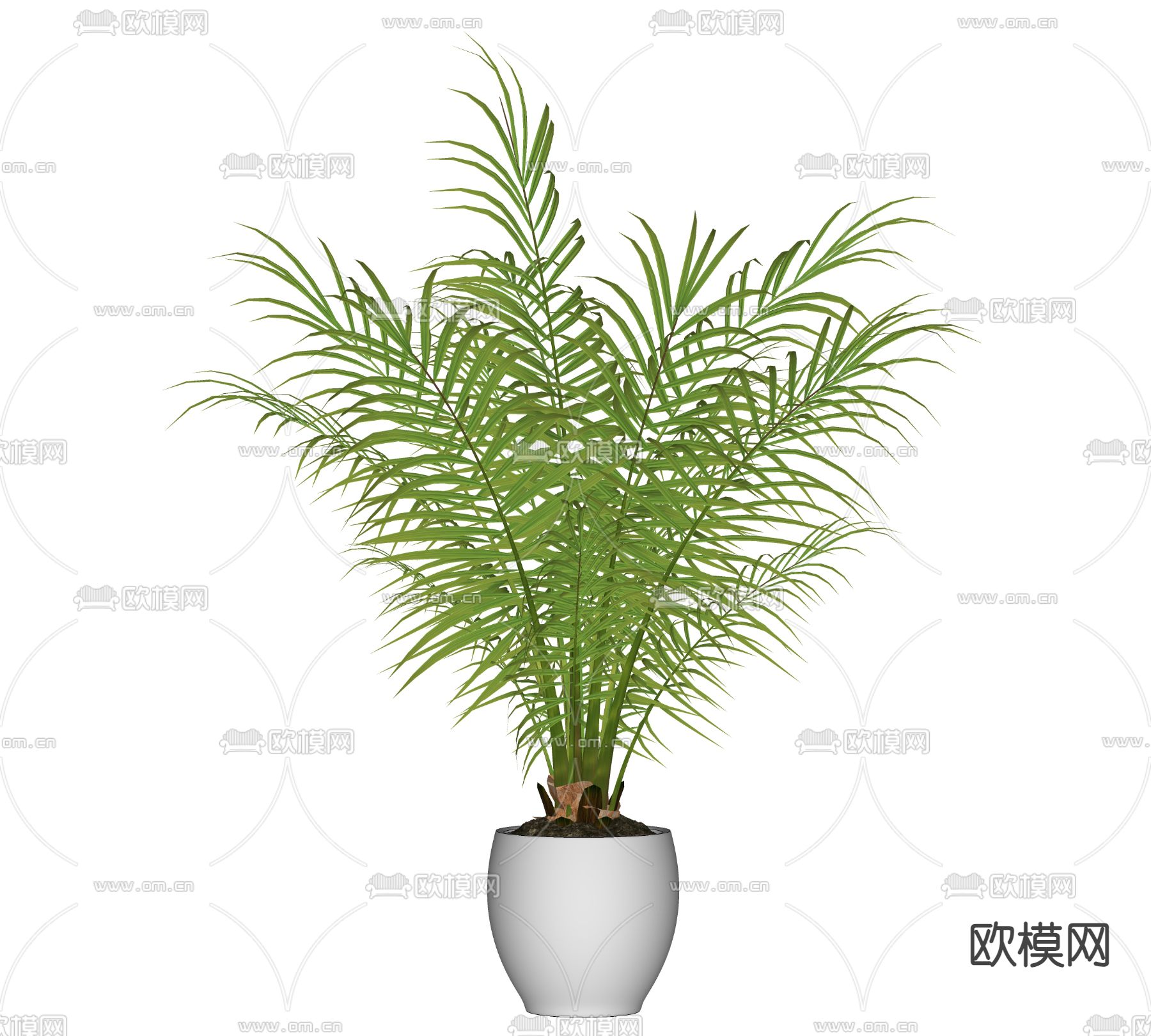 现代植物 盆栽 绿植su模型下载（渲染图1）