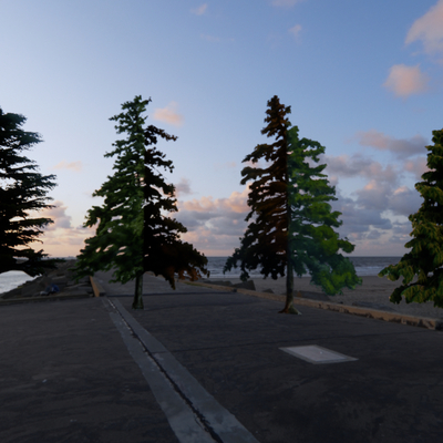  景观松树 雪松su模型 