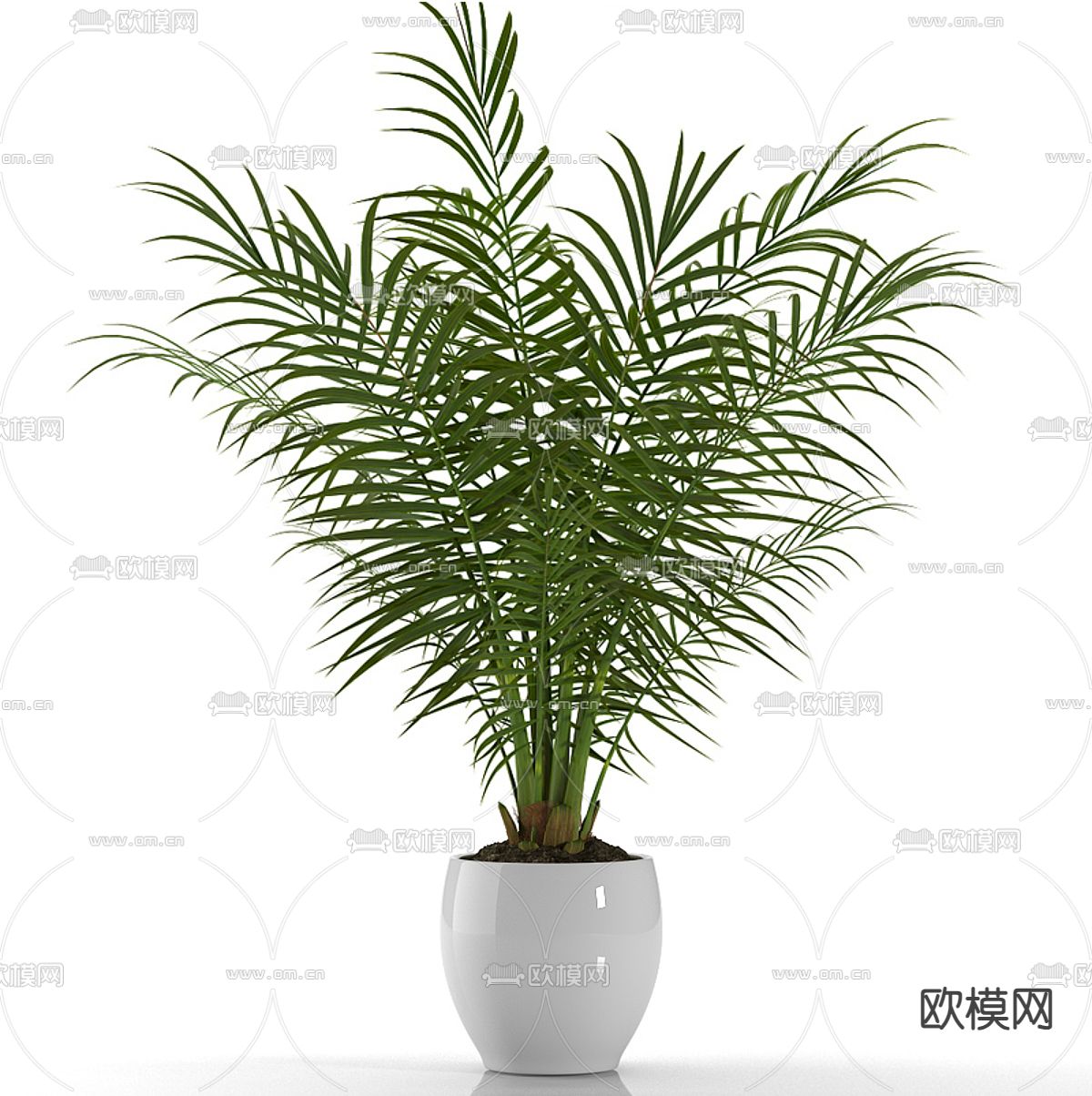 现代植物 盆栽 绿植su模型下载（渲染图2）