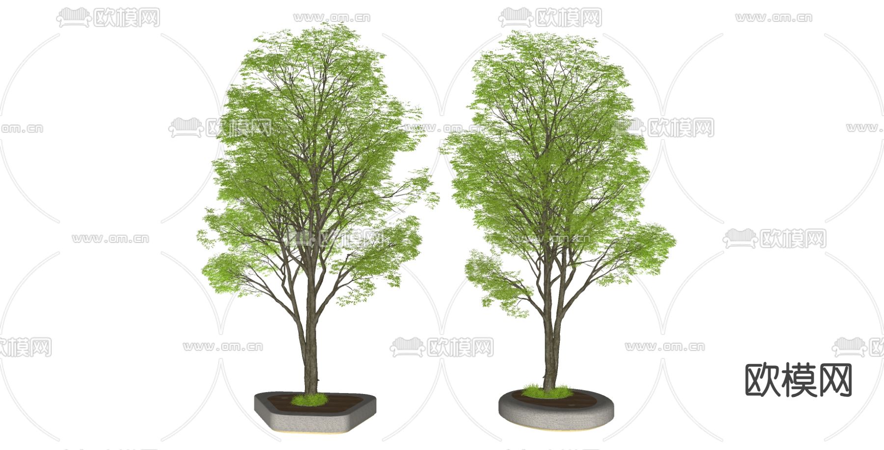 树木su模型下载（渲染图1）
