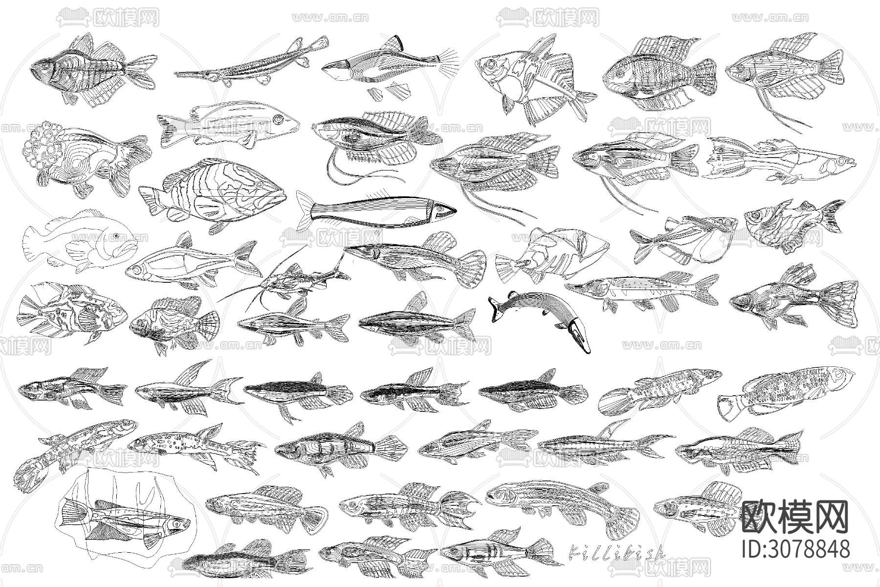 水族箱鱼缸海洋动生物各种鱼类动漫卡通乌龟螃蟹贝壳CAD图库下载（渲染图7）