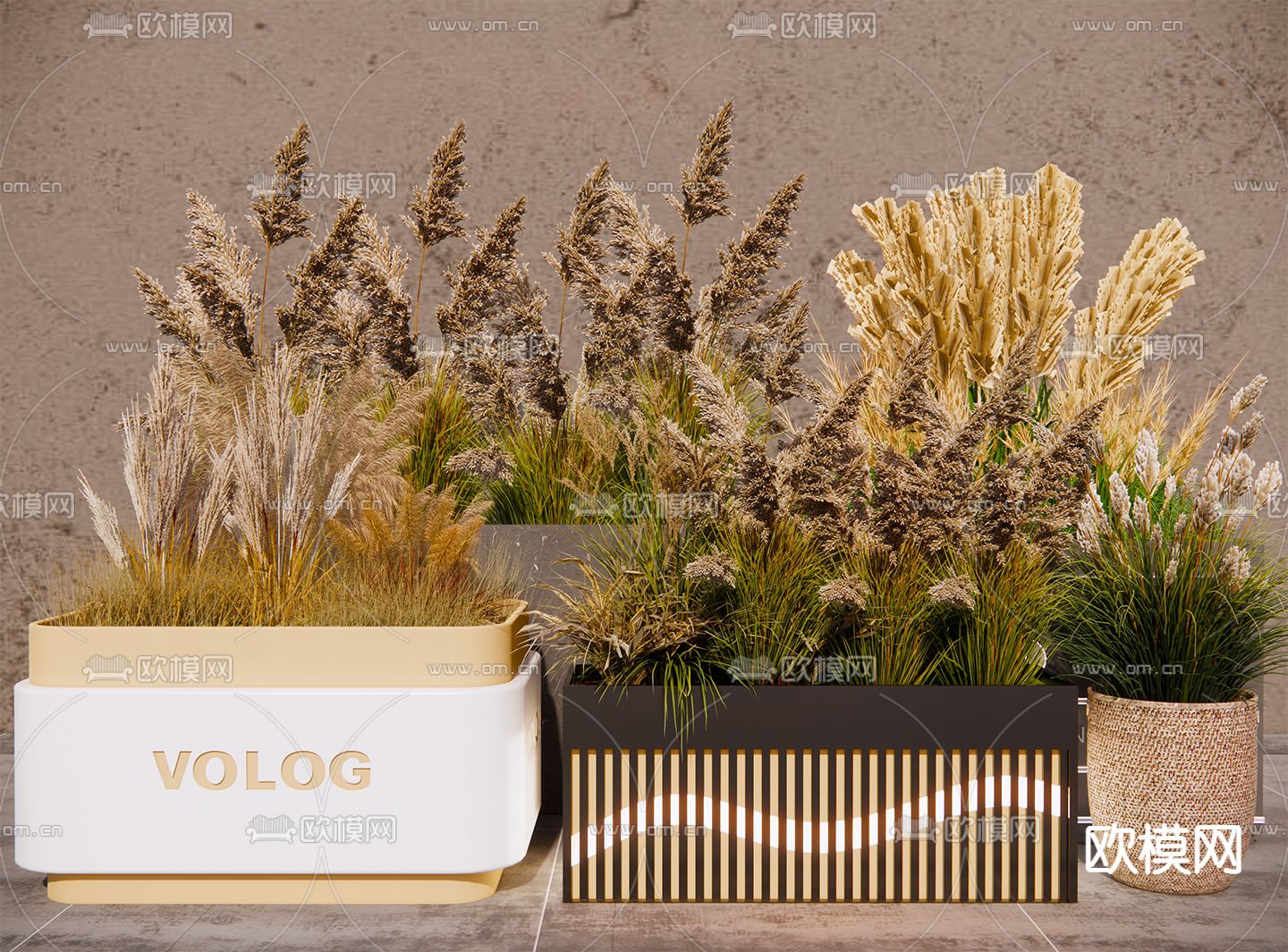 花境 植物堆 花箱 麦穗植物su模型下载（渲染图2）