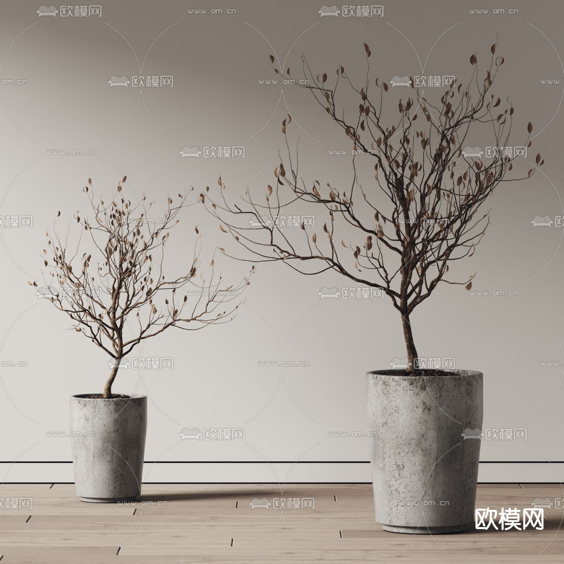 现代植物盆栽 干枝 盆景su模型下载（渲染图2）