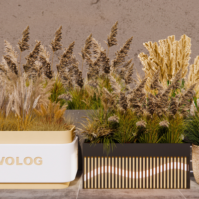  花境 植物堆 花箱 麦穗植物su模型 