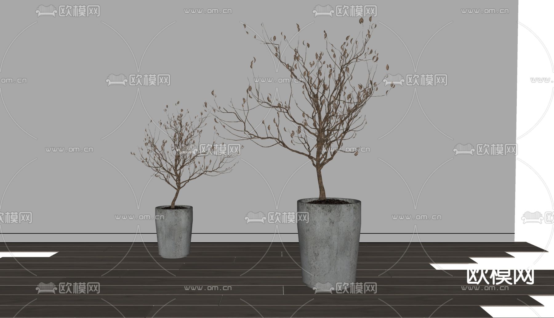 现代植物盆栽 干枝 盆景su模型下载（渲染图1）