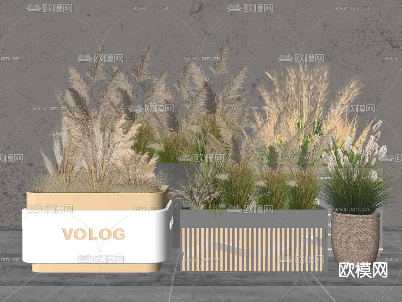 花境 植物堆 花箱 麦穗植物su模型下载（渲染图1）