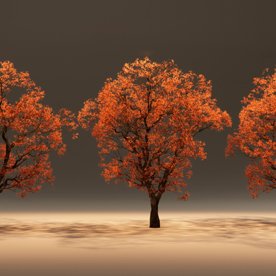  现代景观树 红枫树su模型 