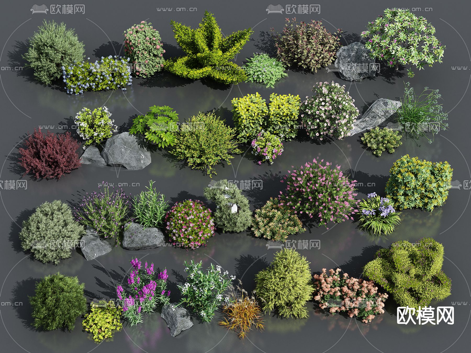 花草 花卉 灌木 植物3d模型下载