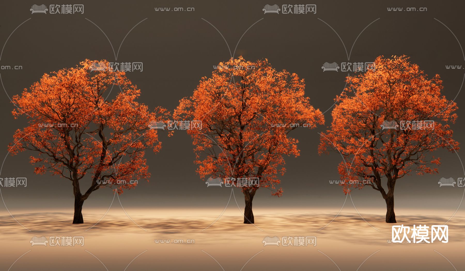 现代景观树 红枫树su模型下载（渲染图2）