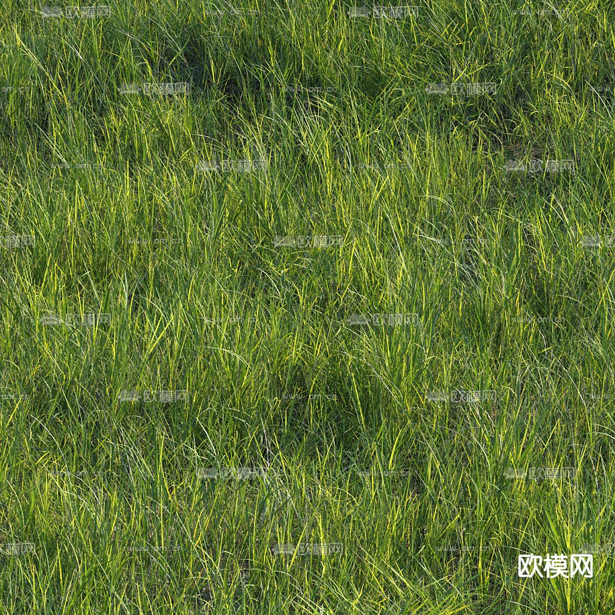 草坪 草地 绿茵3d模型下载