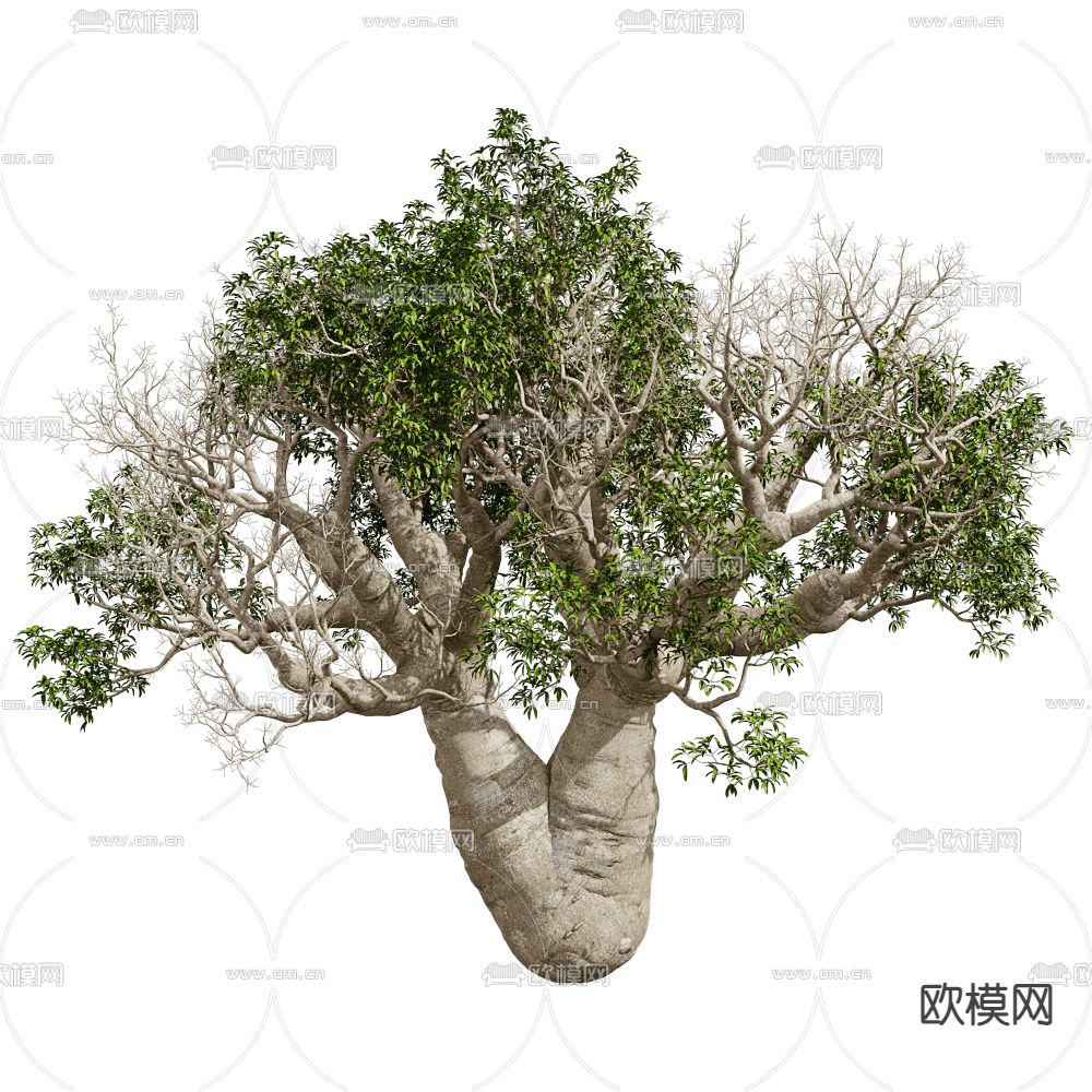 大树 景观树 灌木植物3d模型下载