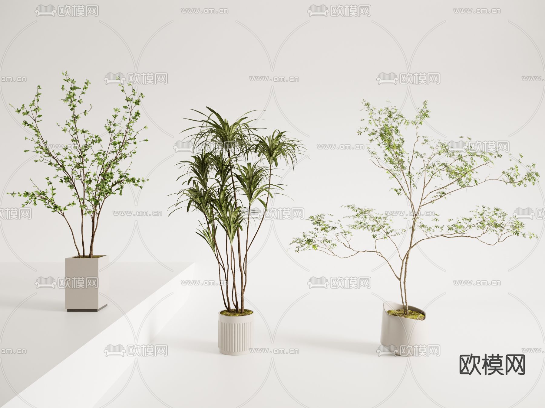 盆栽 盆景 绿植3d模型下载