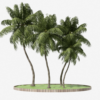  棕榈树 热带树 椰子树 槟榔树su模型 