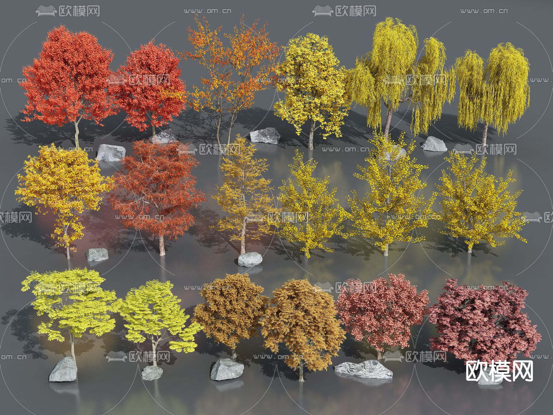 乔木 银杏树 秋季景观树3d模型下载