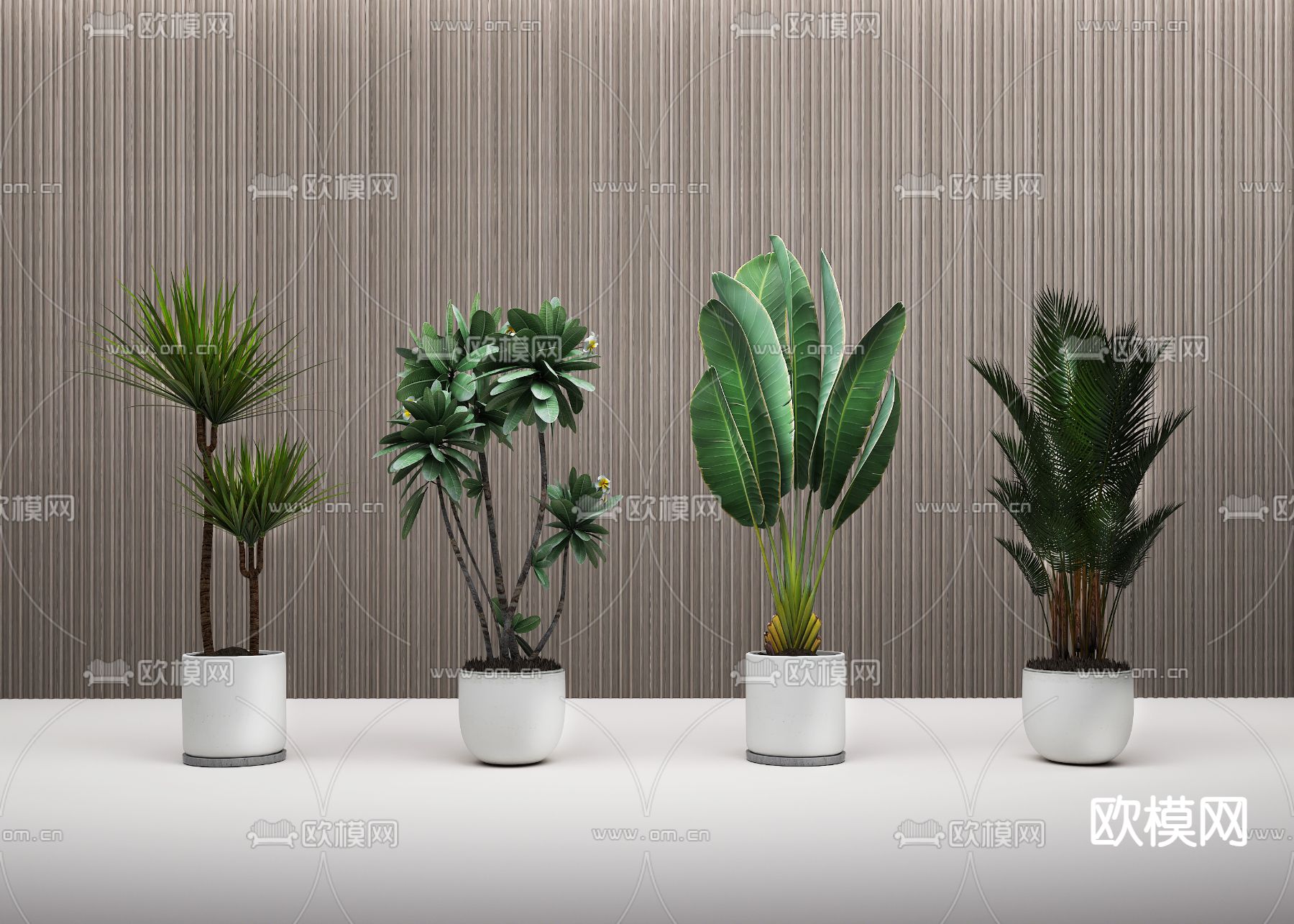 盆栽 盆景 芭蕉 露兜树3d模型下载