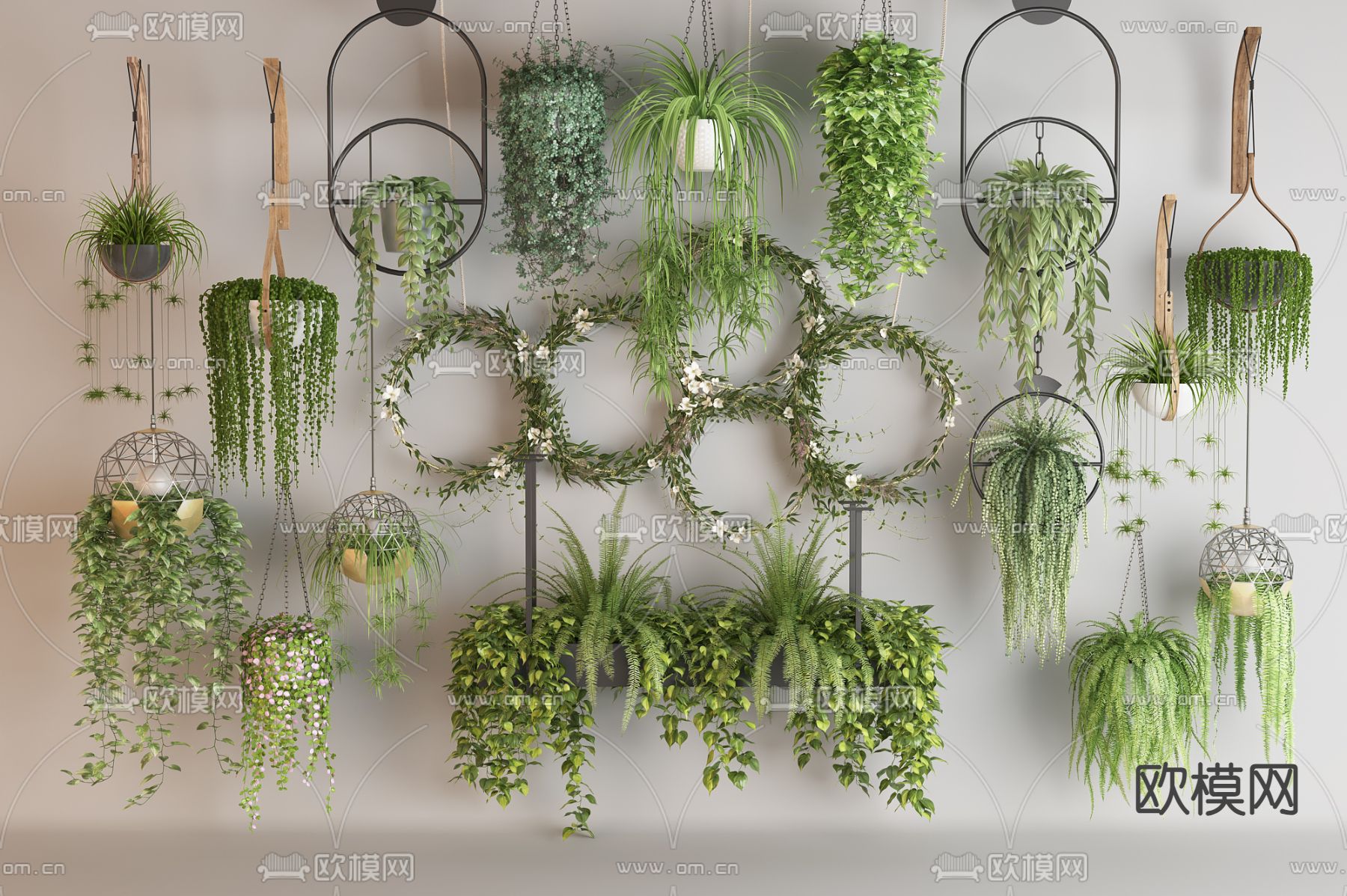 爬藤 吊篮 吊兰悬挂植物3d模型下载