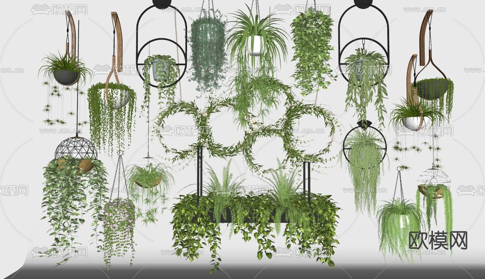 吊篮 垂钓植物 壁挂植物su模型下载(渲染图1)