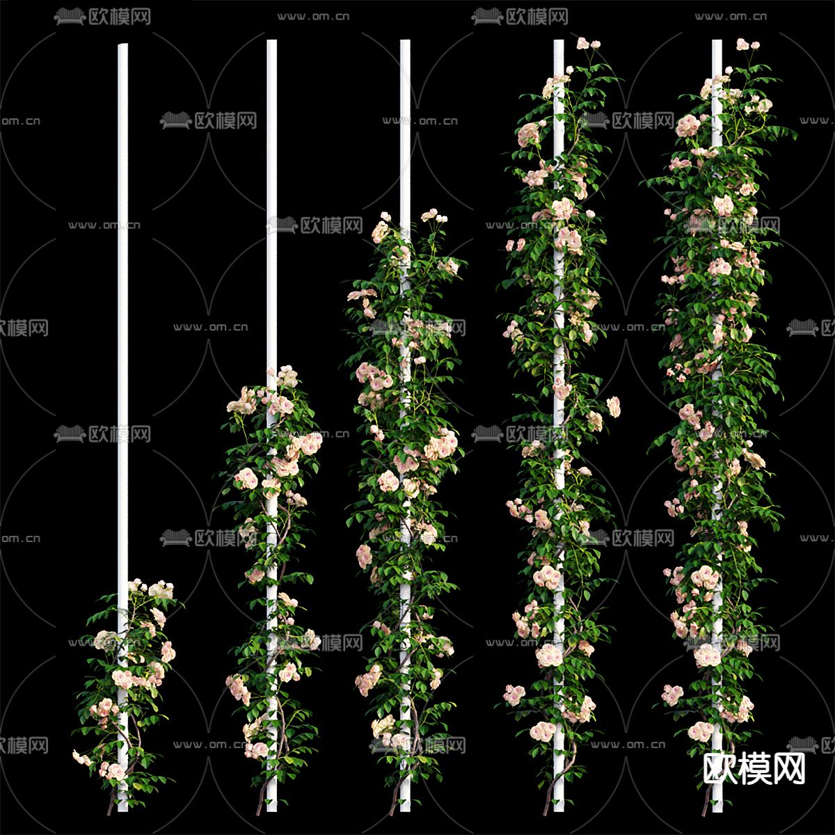 玫瑰花 藤蔓 装饰柱3d模型下载（渲染图3）