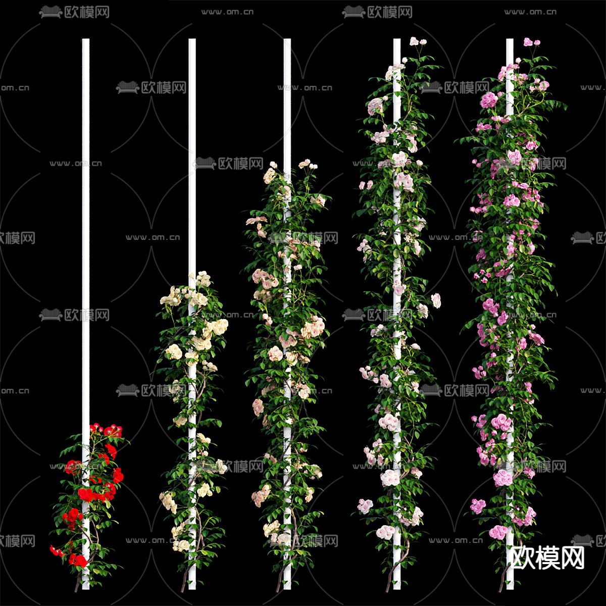 玫瑰花 藤蔓 装饰柱3d模型下载（渲染图1）