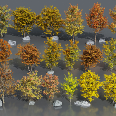  乔木 银杏树 景观树su模型 