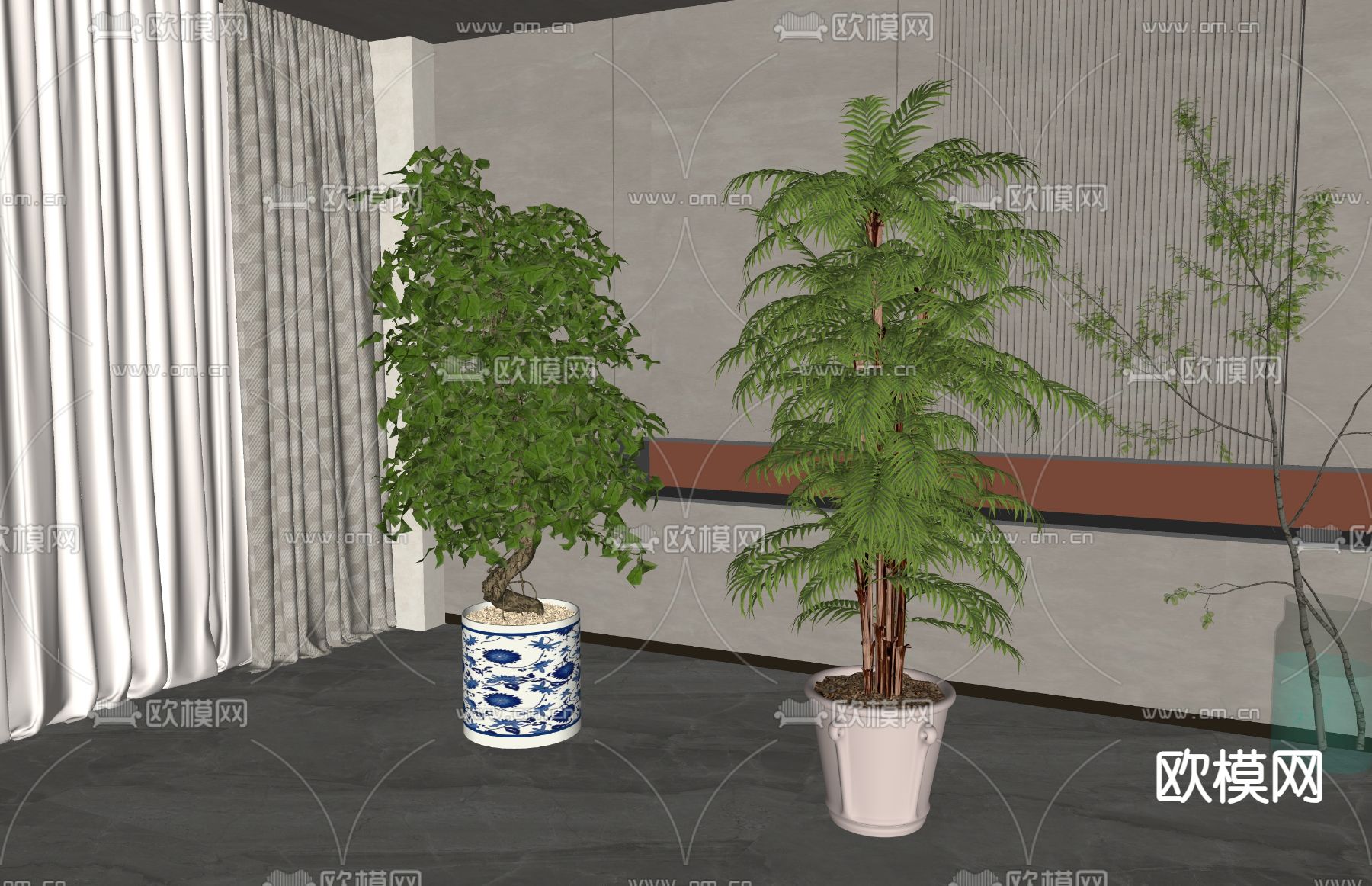 幸福树绿植 盆栽su模型下载（渲染图1）