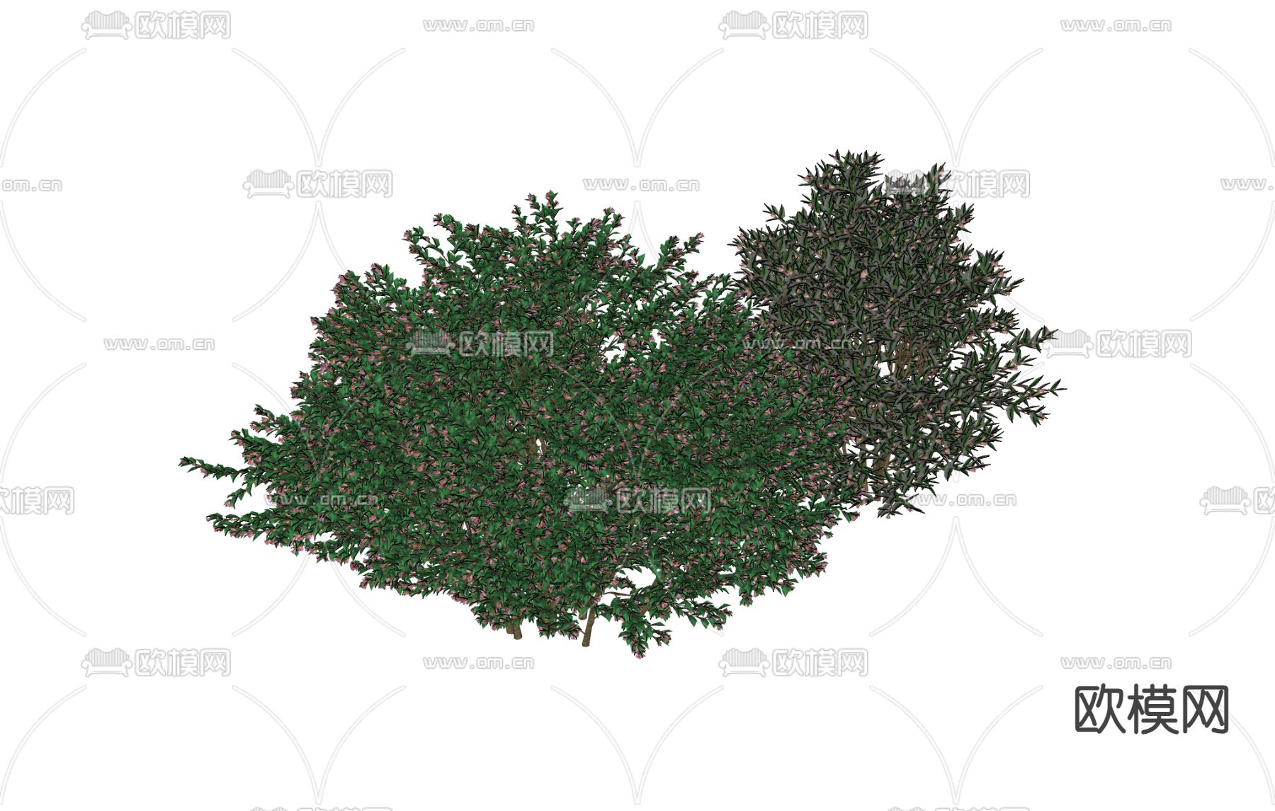 花草绿植 草堆su模型下载（渲染图1）