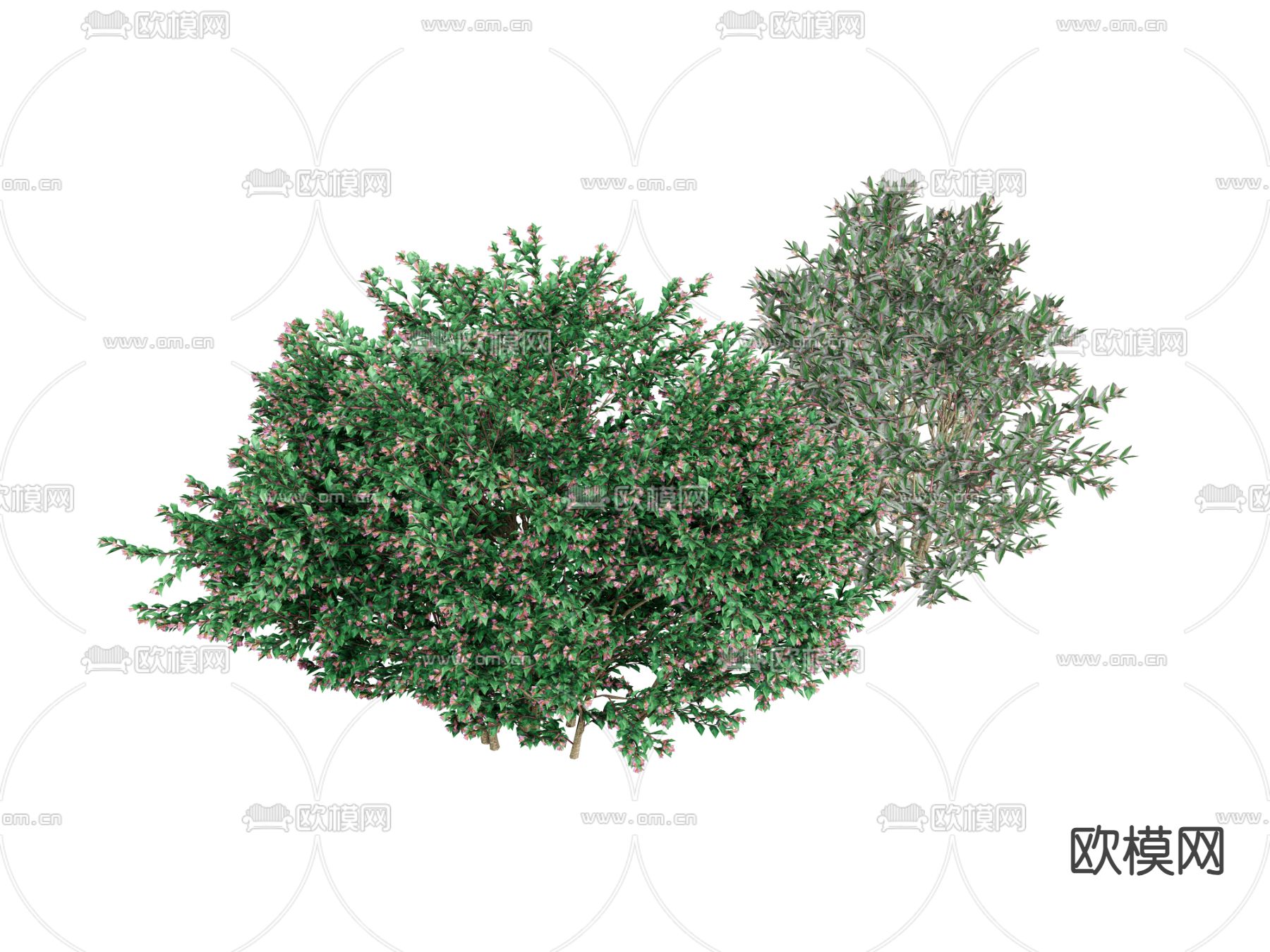 花草绿植 草堆su模型下载（渲染图2）