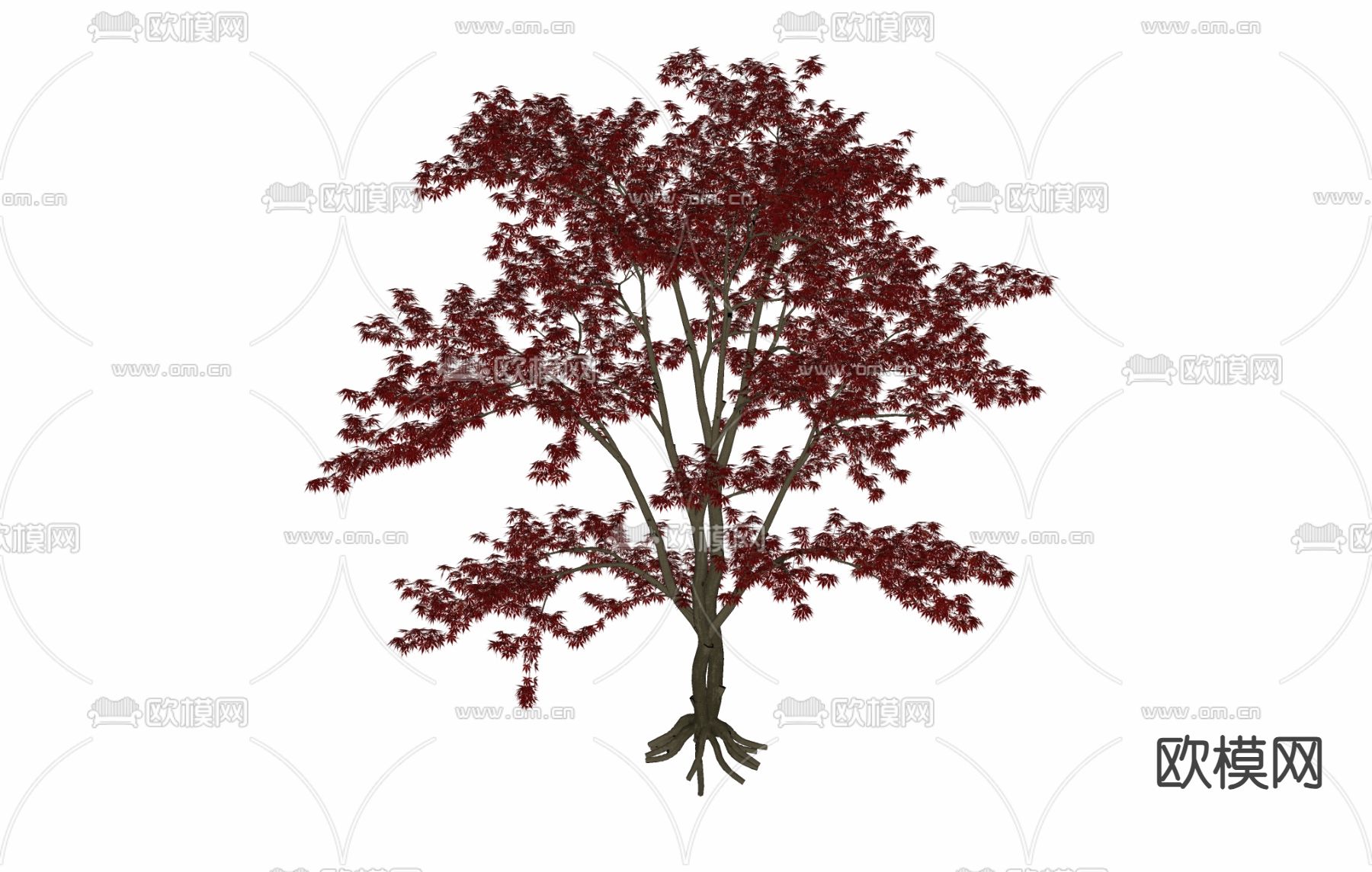 树 枫叶树su模型下载（渲染图1）