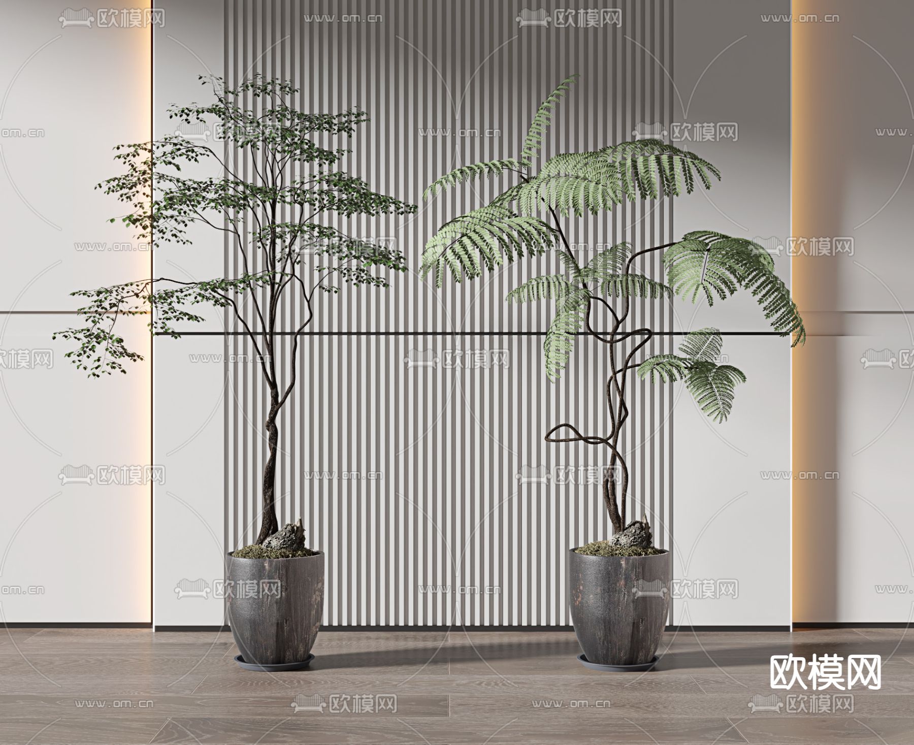 蕨类盆栽 盆景 绿植3d模型下载