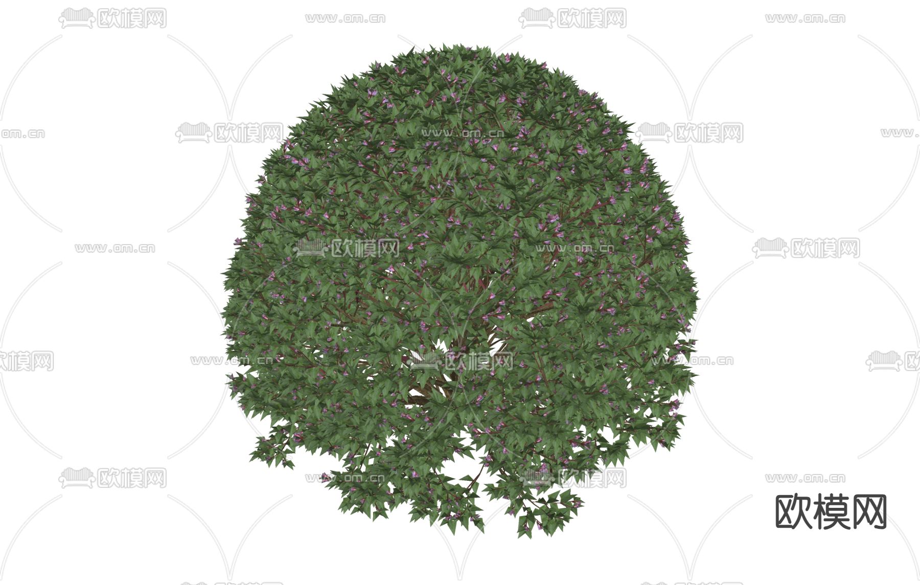 植物 绿植 球形植物su模型下载（渲染图1）