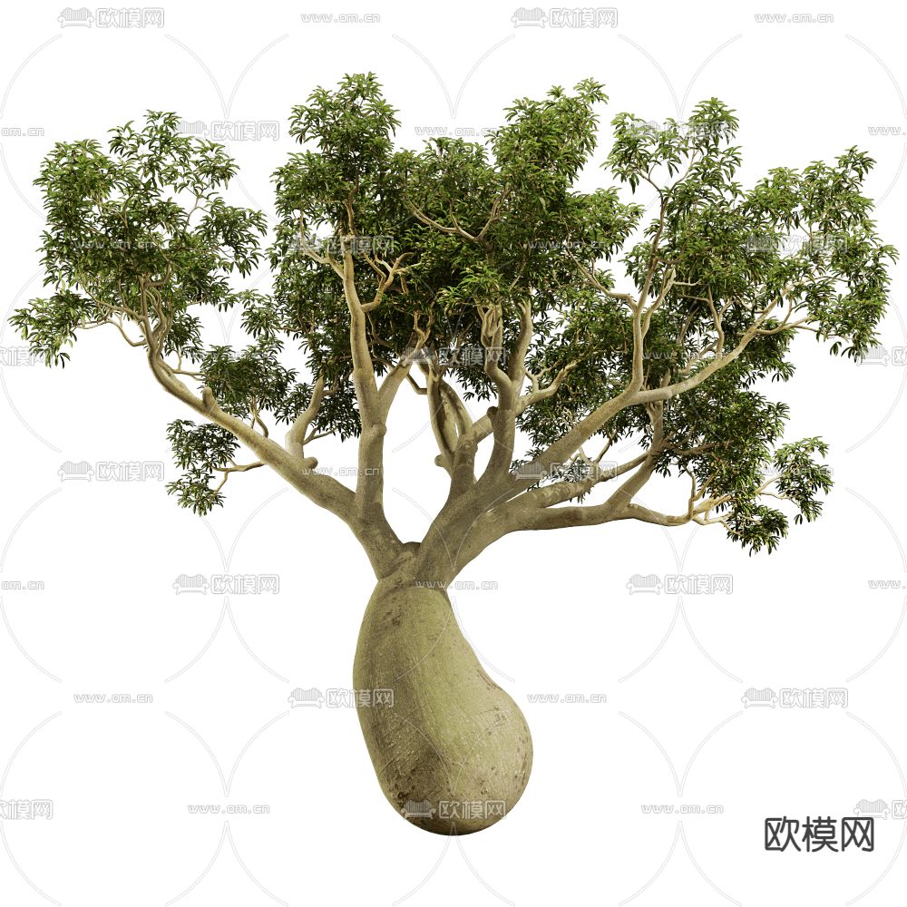 大树 景观树 灌木植物3d模型下载