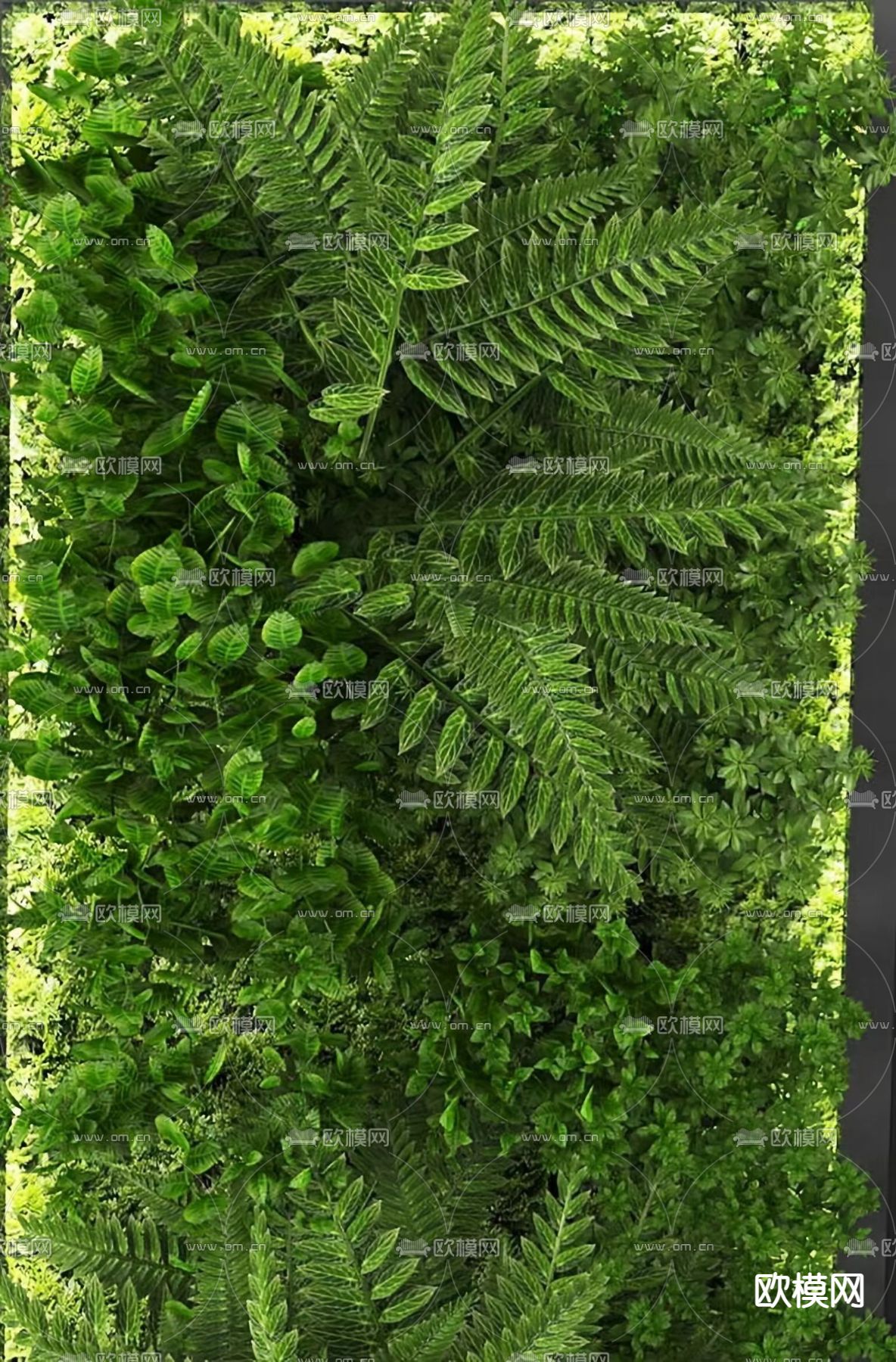 植物墙 绿植墙 苔藓墙 绿植壁灯3d模型下载（渲染图2）
