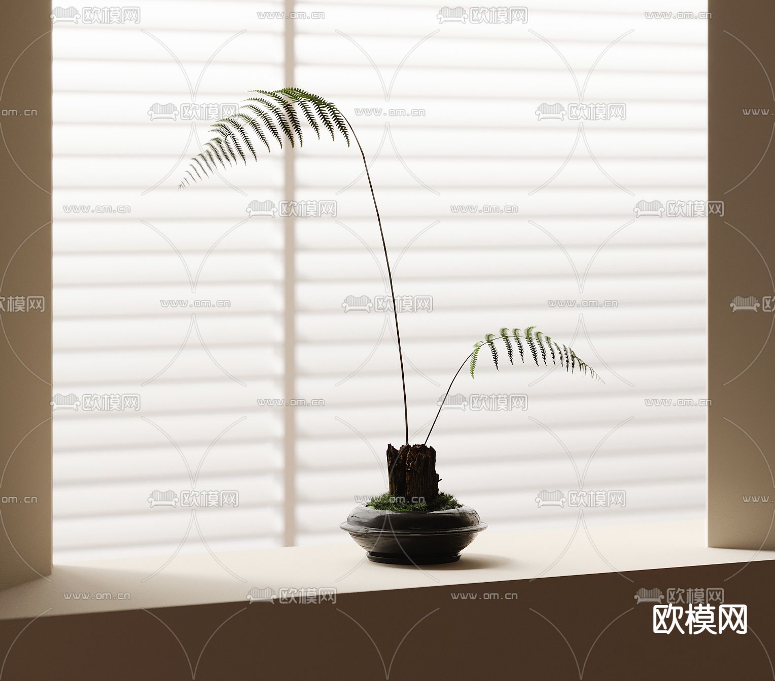 蕨类盆栽 盆景3d模型下载