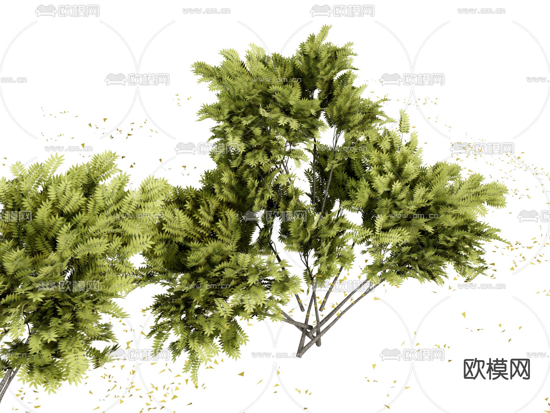 树木 矮树 绿植 绿叶su模型下载（渲染图2）