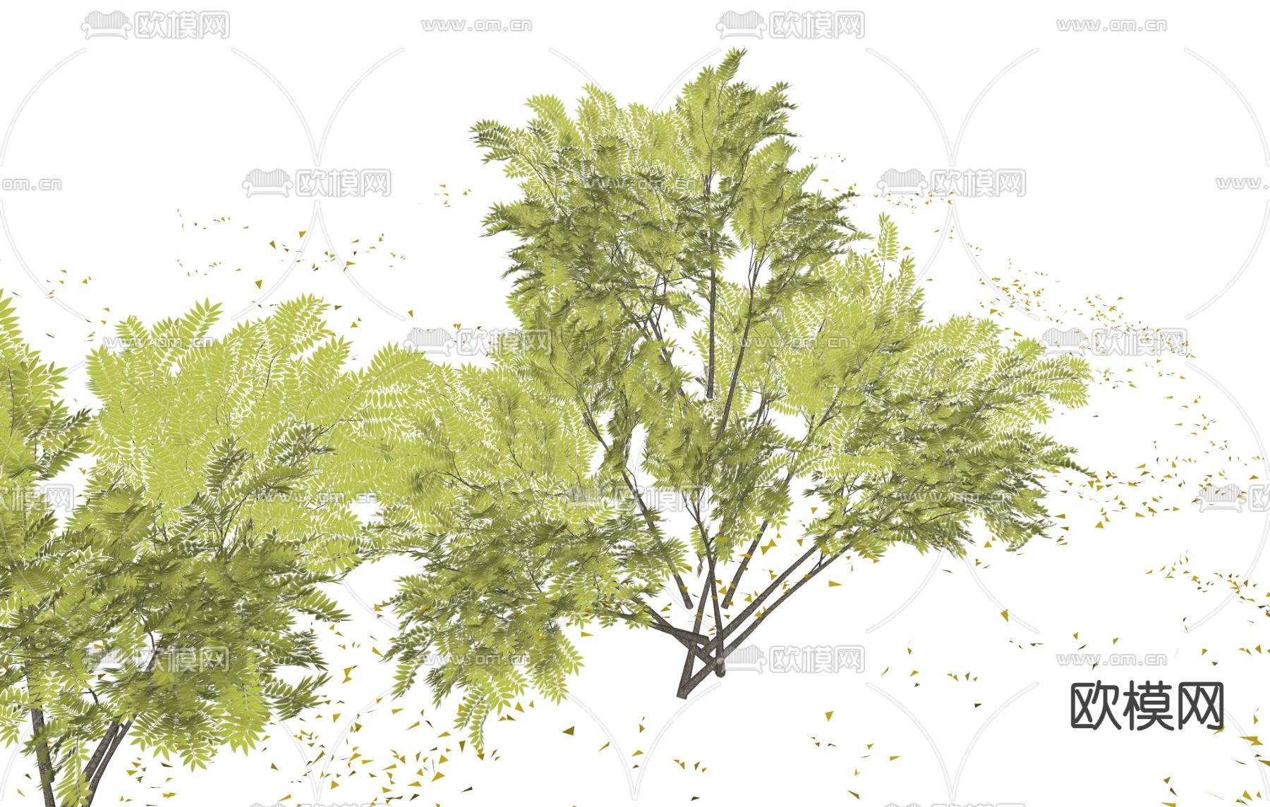 树木 矮树 绿植 绿叶su模型下载（渲染图1）