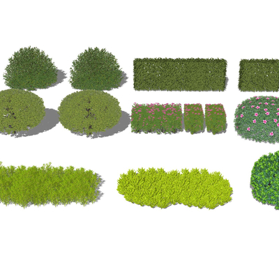  景观植物 灌木球su模型 