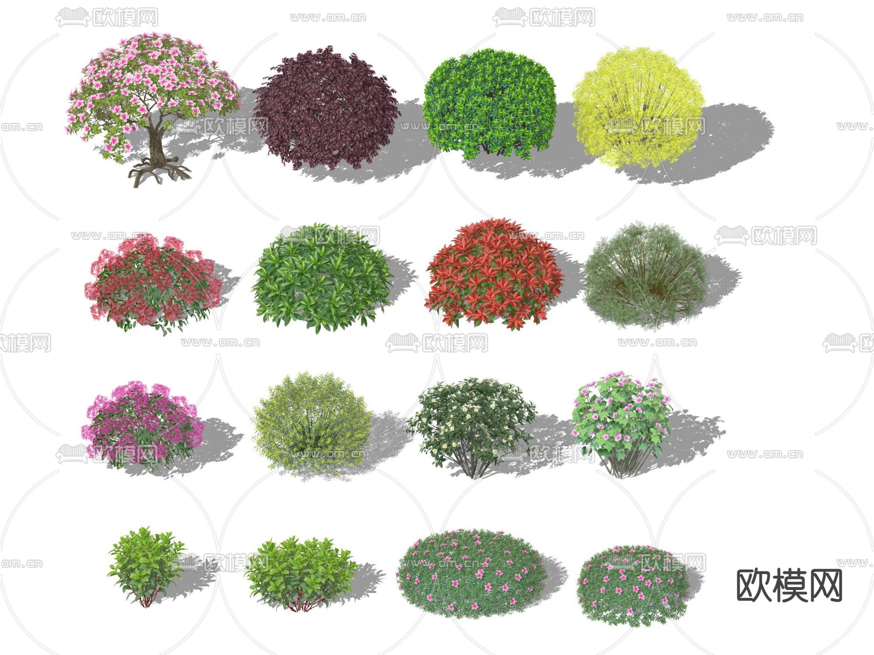 植物球 灌木su模型下载