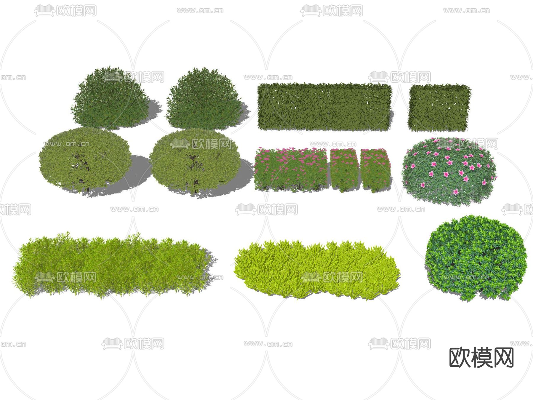 景观植物 灌木球su模型下载