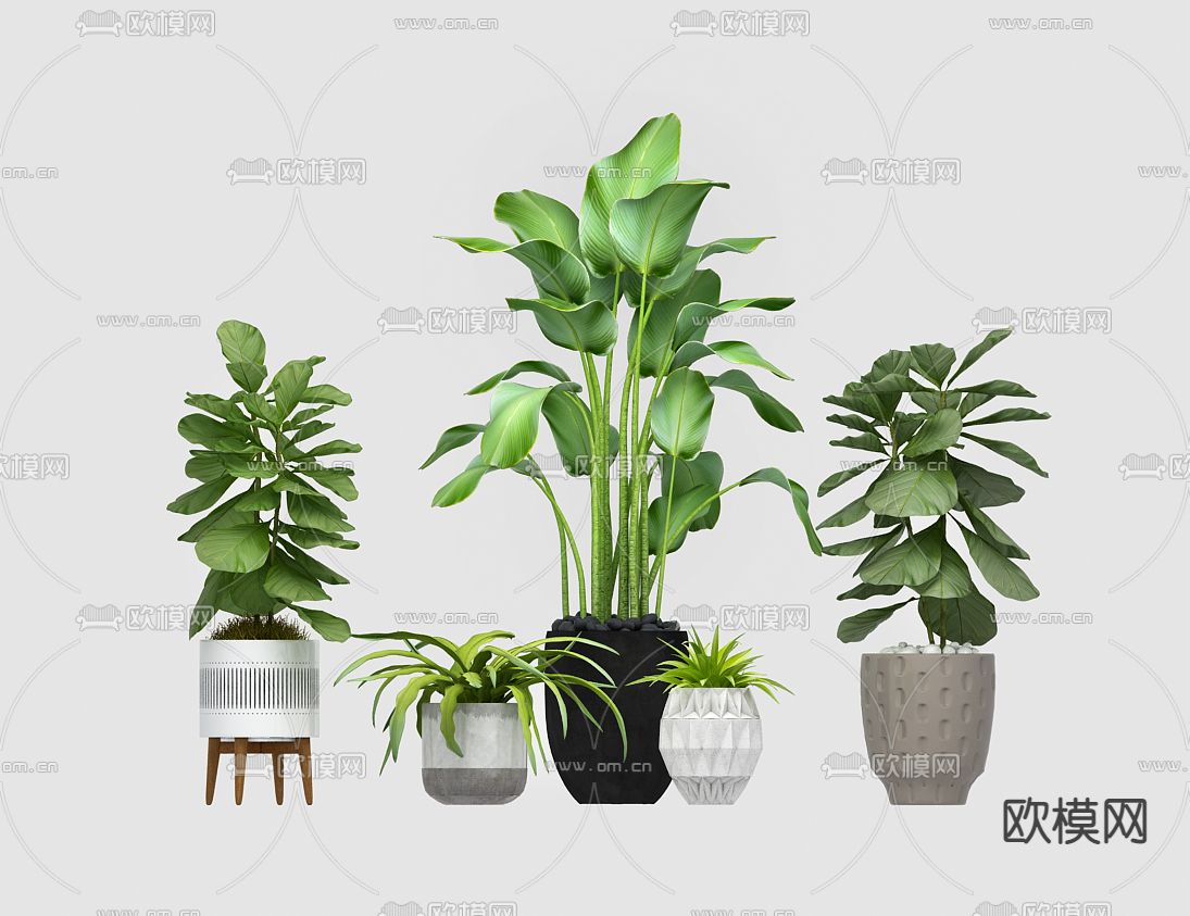 盆栽 盆景 绿植3d模型下载