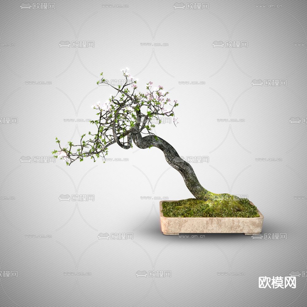 花树盆栽 盆景3d模型下载