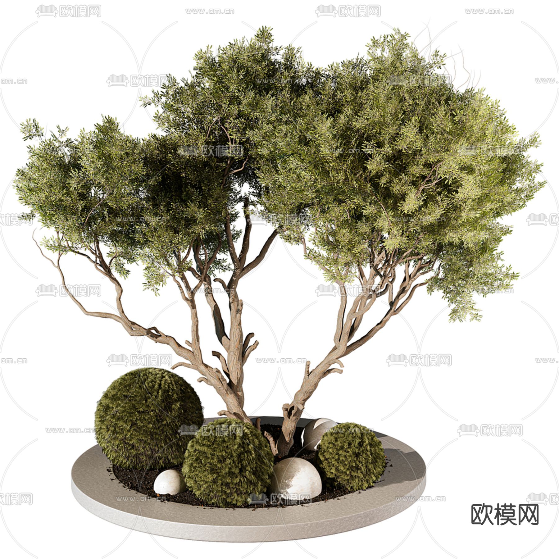 树池 庭院小品 植物堆 树木3d模型下载