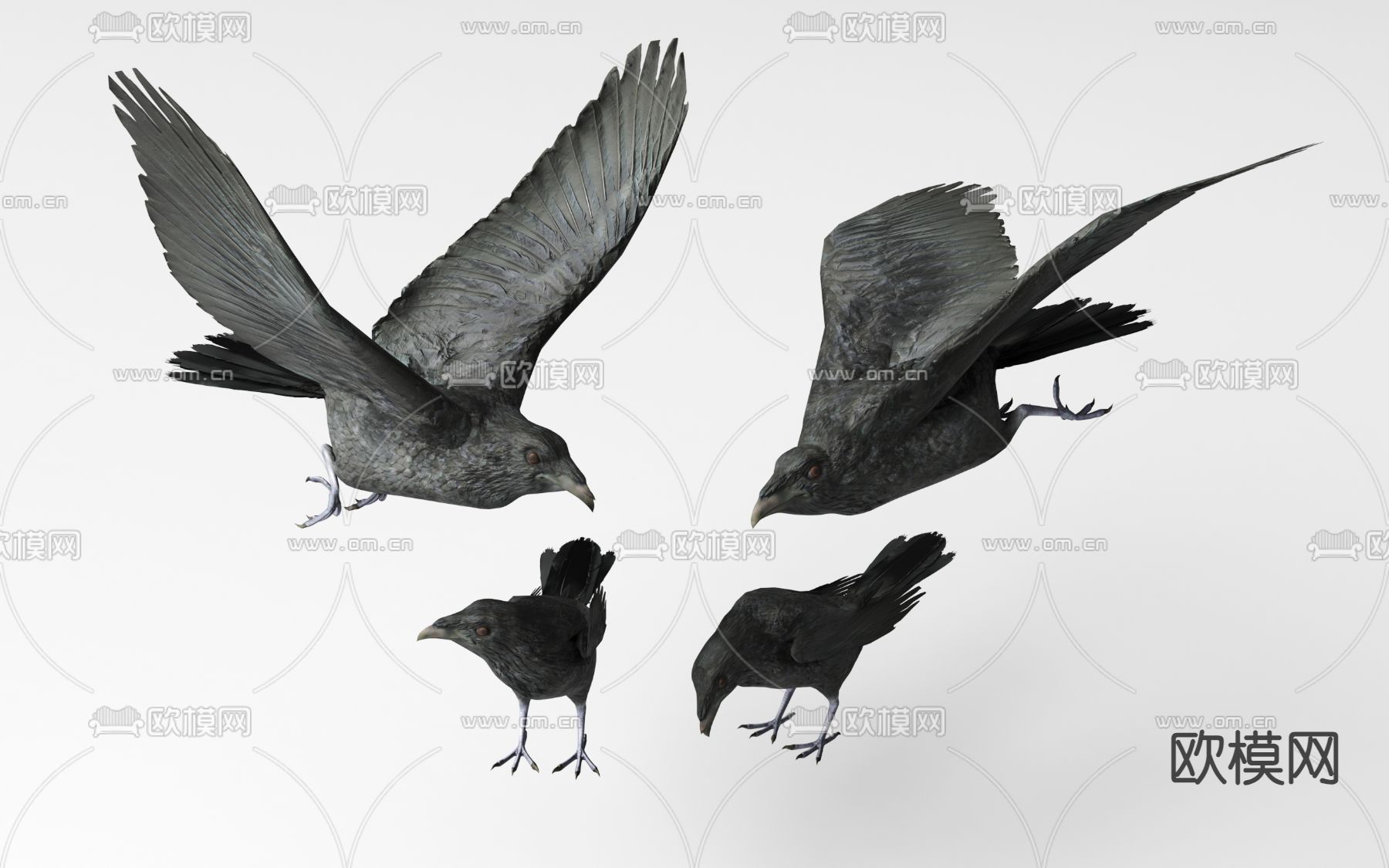 乌鸦3d模型下载